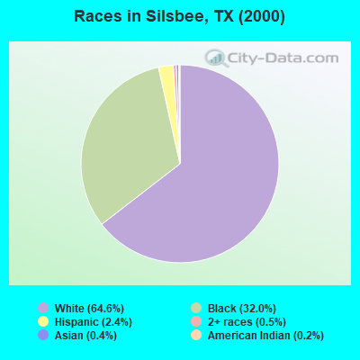 Races in Silsbee, TX (2000)