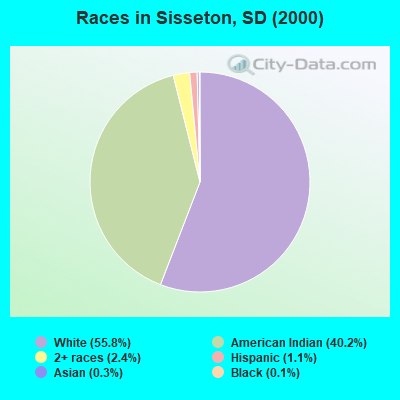 Races in Sisseton, SD (2000)