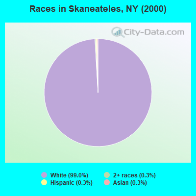 Races in Skaneateles, NY (2000)