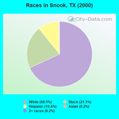 Races in Snook, TX (2000)