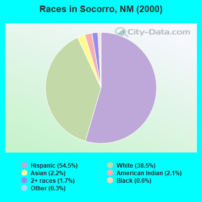 Races in Socorro, NM (2000)