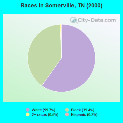 Races in Somerville, TN (2000)