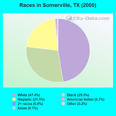 Races in Somerville, TX (2000)