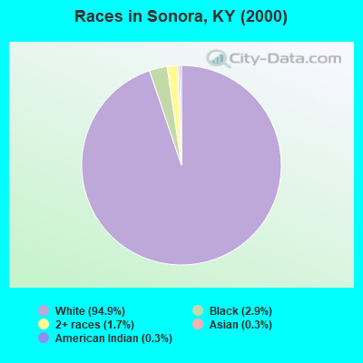 Races in Sonora, KY (2000)