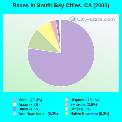 Races in South Bay Cities, CA (2000)