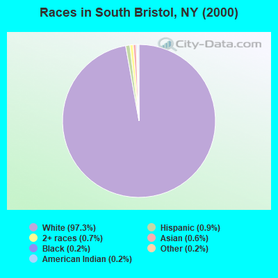 Races in South Bristol, NY (2000)