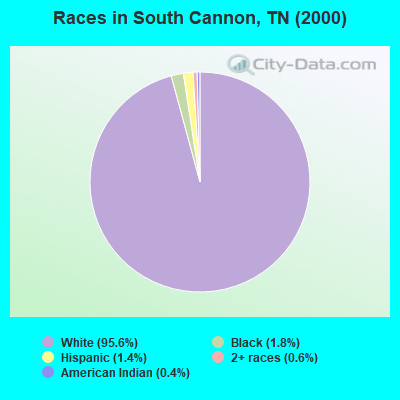 Races in South Cannon, TN (2000)
