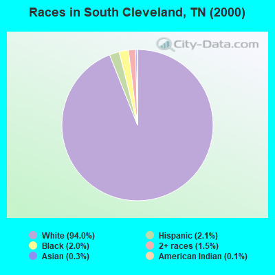 Races in South Cleveland, TN (2000)