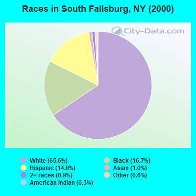 Races in South Fallsburg, NY (2000)