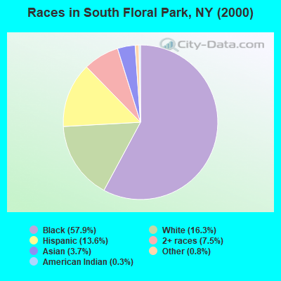 Races in South Floral Park, NY (2000)