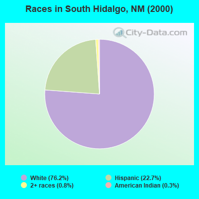Races in South Hidalgo, NM (2000)