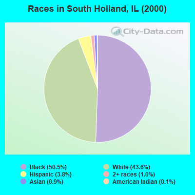 Races in South Holland, IL (2000)