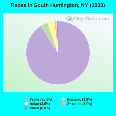 Races in South Huntington, NY (2000)