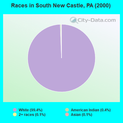 Races in South New Castle, PA (2000)