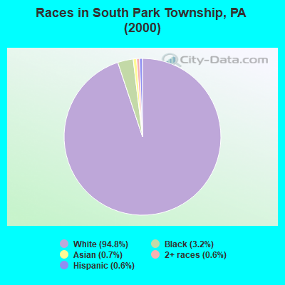 Races in South Park Township, PA (2000)