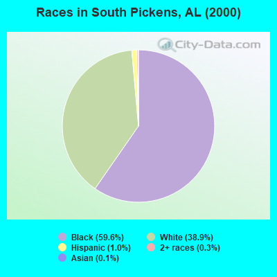 Races in South Pickens, AL (2000)