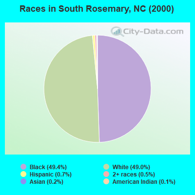 Races in South Rosemary, NC (2000)
