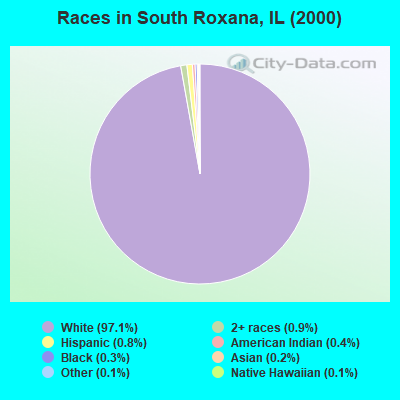 Races in South Roxana, IL (2000)