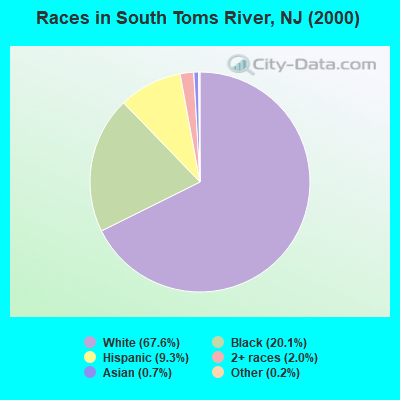 Races in South Toms River, NJ (2000)
