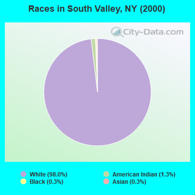 Races in South Valley, NY (2000)