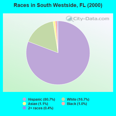 Races in South Westside, FL (2000)