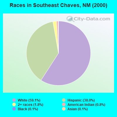 Races in Southeast Chaves, NM (2000)