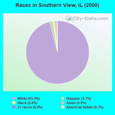 Races in Southern View, IL (2000)