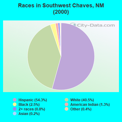 Races in Southwest Chaves, NM (2000)