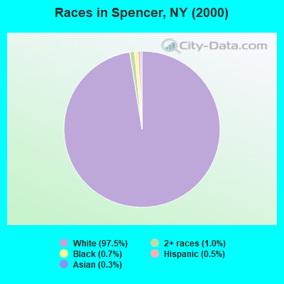 Races in Spencer, NY (2000)