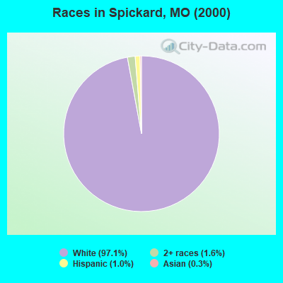 Races in Spickard, MO (2000)