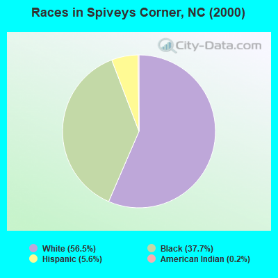 Races in Spiveys Corner, NC (2000)