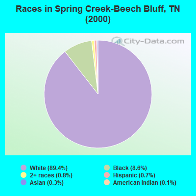 Races in Spring Creek-Beech Bluff, TN (2000)