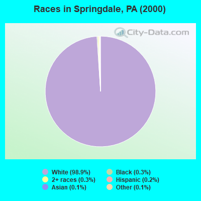 Races in Springdale, PA (2000)