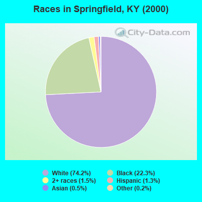 Races in Springfield, KY (2000)