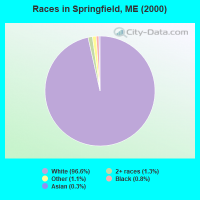 Races in Springfield, ME (2000)