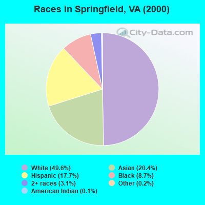 Races in Springfield, VA (2000)