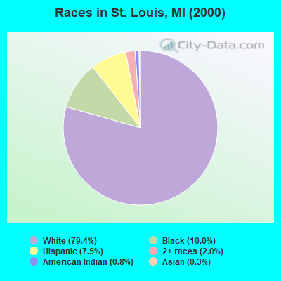 Races in St. Louis, MI (2000)