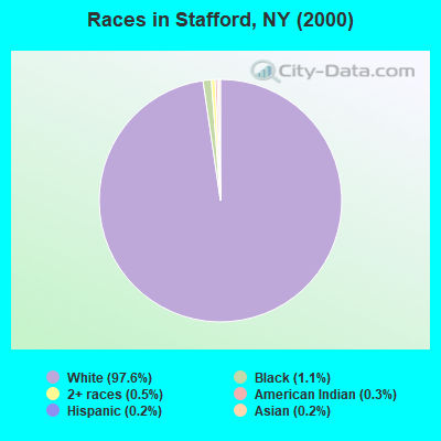 Races in Stafford, NY (2000)