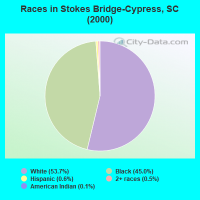 Races in Stokes Bridge-Cypress, SC (2000)