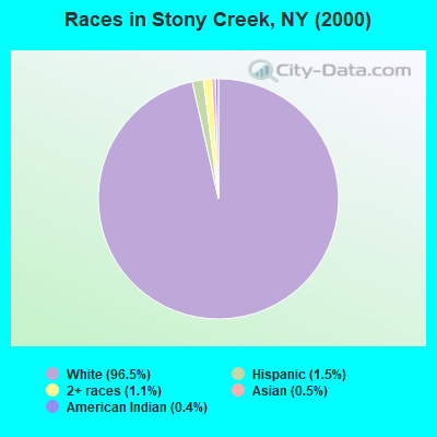 Races in Stony Creek, NY (2000)