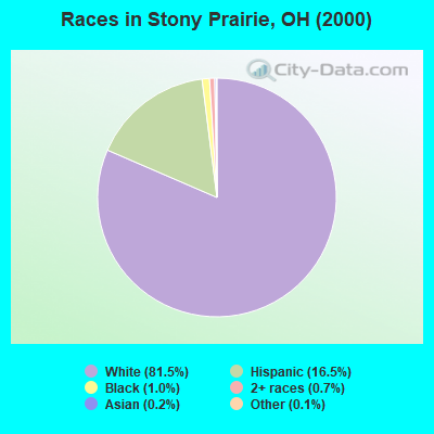 Races in Stony Prairie, OH (2000)