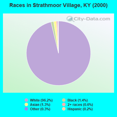 Races in Strathmoor Village, KY (2000)