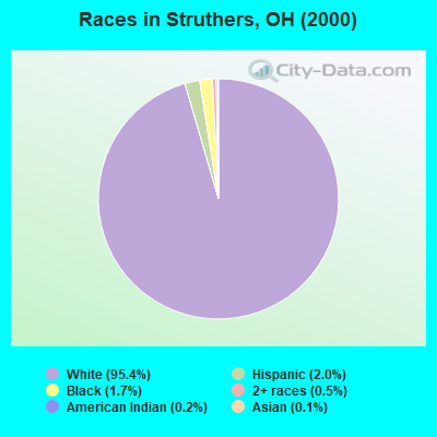 Races in Struthers, OH (2000)