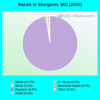 Races in Sturgeon, MO (2000)