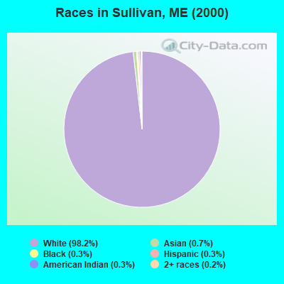 Races in Sullivan, ME (2000)