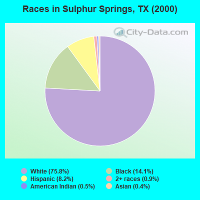 Races in Sulphur Springs, TX (2000)