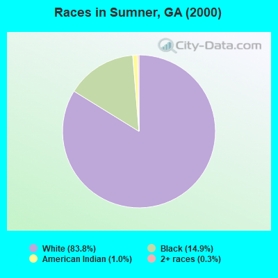 Races in Sumner, GA (2000)