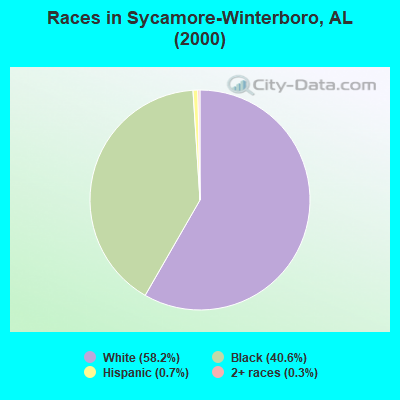Races in Sycamore-Winterboro, AL (2000)