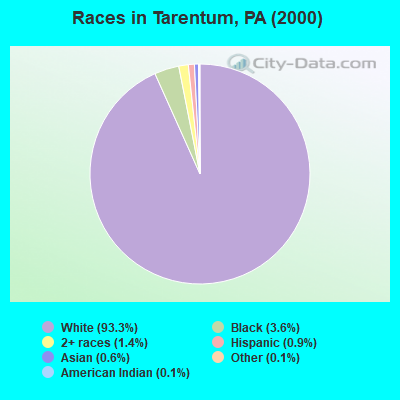 Races in Tarentum, PA (2000)