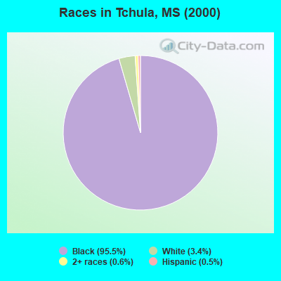 Races in Tchula, MS (2000)
